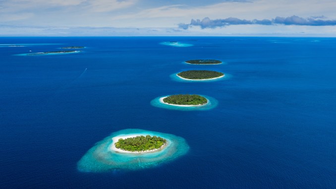 maldivas tedx