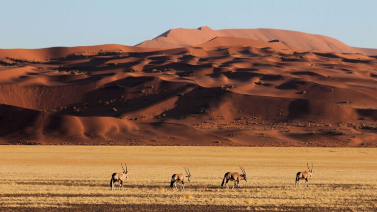 GuÃ­a de viaje de Namibia