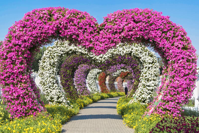 Arcos de corazón del Jardín Milagroso de Dubai: considerado el jardín de flores más grande del mundo